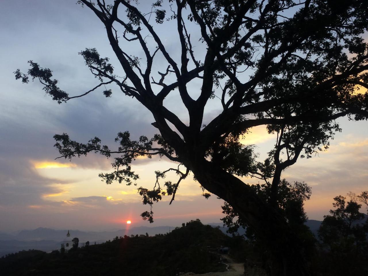 מלון פוקהרה Siddhartha Garden Ayurveda מראה חיצוני תמונה