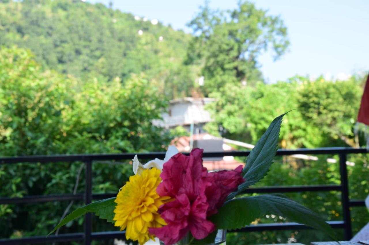מלון פוקהרה Siddhartha Garden Ayurveda מראה חיצוני תמונה